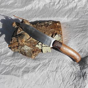 Hunter Skinner Knife in Walnut & Jarah
