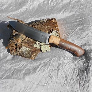 Wapiti Hunter Knife in Walnut & Hickory
