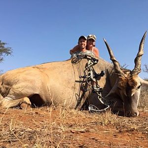 South Africa Bow Hunting Eland