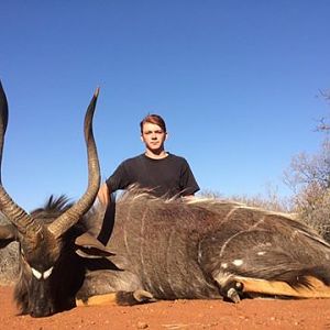 Nyala Hunt South Africa