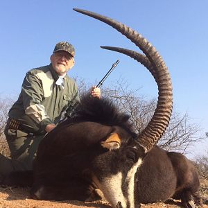 Hunt Sable Antelope South Africa