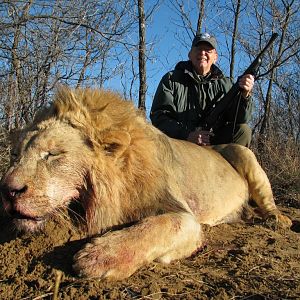 Hunting Lion in South Africa