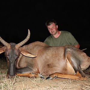 Hunting Tsessebe in South Africa