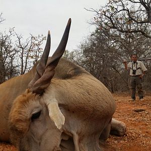 South Africa Hunting Eland