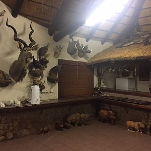 Accommodation  Hunting  South Africa