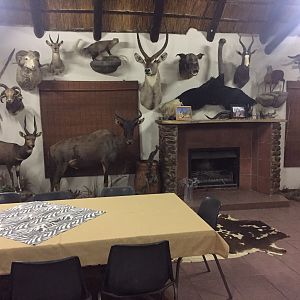 Hunting South Africa Accommodation