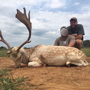 South Africa Hunting 29 Inch Fallow Deer