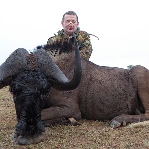 Hunt Black Wildebeest South Africa