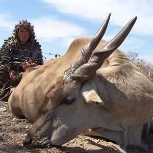 Namibia Bow Hunting Eland