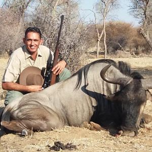 Blue Wildebeest Namibia Hunting