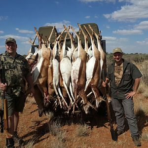 Springbok Cull Hunting South Africa