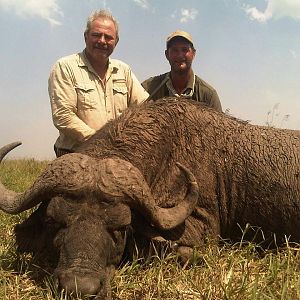 Cape Buffalo Mozambique Hunt