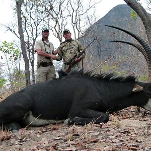 Sable Hunting in Mozambique