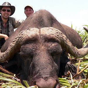 Buffalo Hunt in Mozambique