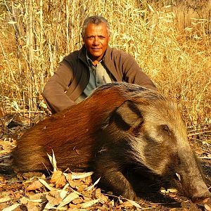 Mozambique Bushpig Hunt