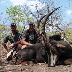 Hunt Sable Antelope in Mozambique