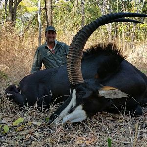 Mozambique Hunt Sable Antelope