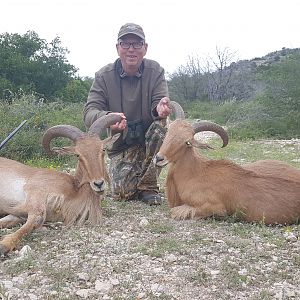 West Texas Aoudad Hunting