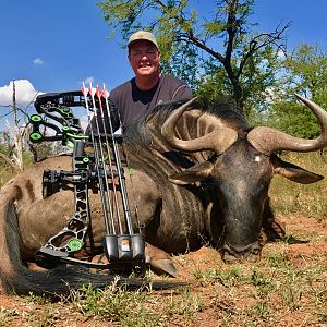 Blue Wildebeest South Africa  Bow Hunting