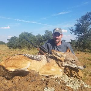 South Africa  Jackal Hunt