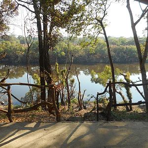 Zambia Nature By the River