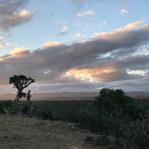 Hunting South Africa