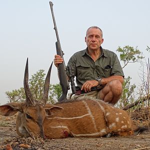 Harnassed Bushbuck Hunting Benin