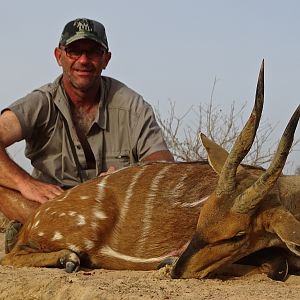 Harnassed Bushbuck Hunting Benin