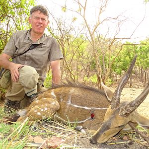 Harnassed Bushbuck Hunting Benin