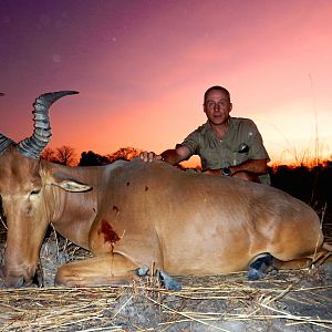 Hunt Western Hartebeest Benin