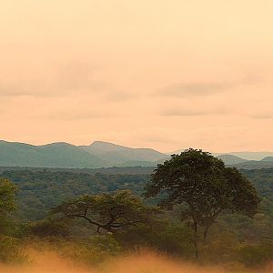 Landscape & Area Zambia Nature