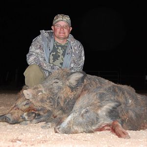 Hog Hunting