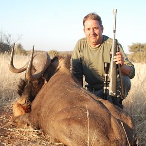 Black Wildebeest Namibia Hunt