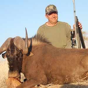 Hunt Black Wildebeest Nambia