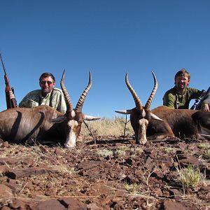 Nambia Hunting Blesbok & Bontebok