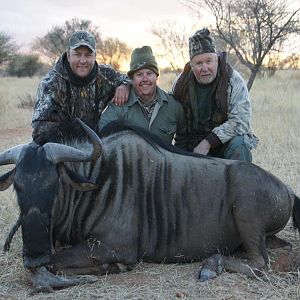 Hunt Blue Wildebeest Nambia