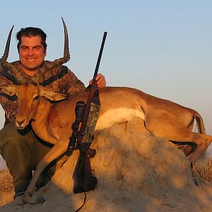 Impala Namibia Hunt