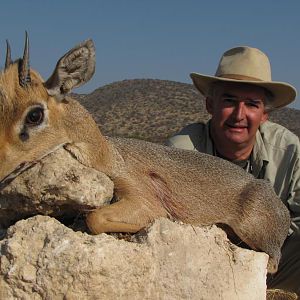 Damara Dik Dik Namibia  Hunt