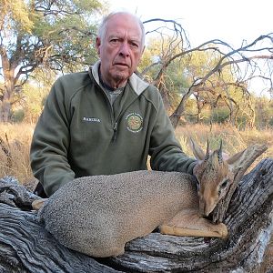 Namibia Hunt Damara Dik Dik