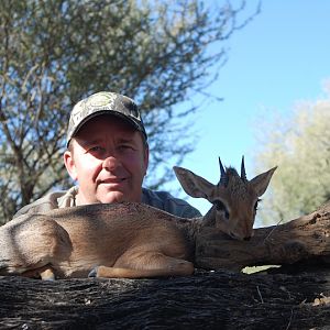 Damara Dik Dik Namibia  Hunt