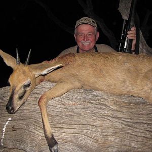 Duiker Namibia Hunting