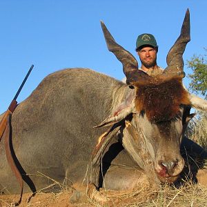 Eland Hunting Namibia