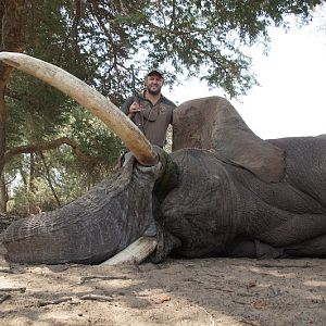 Hunting Namibia Elephant