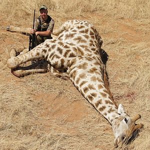 Hunting Namibia Giraffe