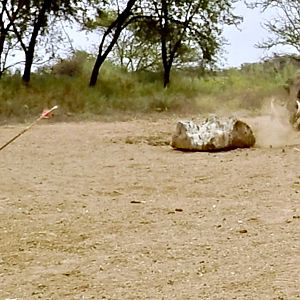 Reverse GoPro angle bow shots Warthog