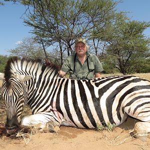 Hunt Namibia Burchell's  Zebra