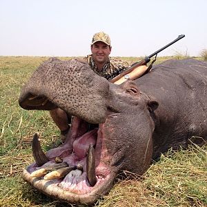 Hippo Hunt In Namibia