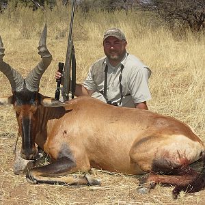 Red Hartebeest Hunt Nambia