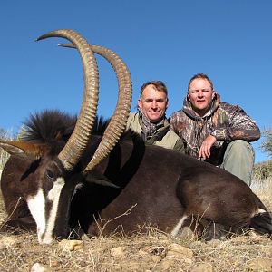 Hunt Sable Antelope in Namibia
