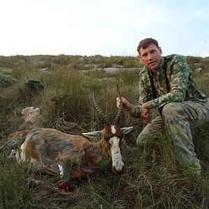 Hunting Blesbok South Africa